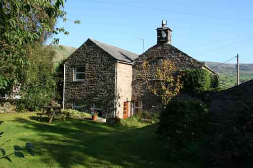 back garden